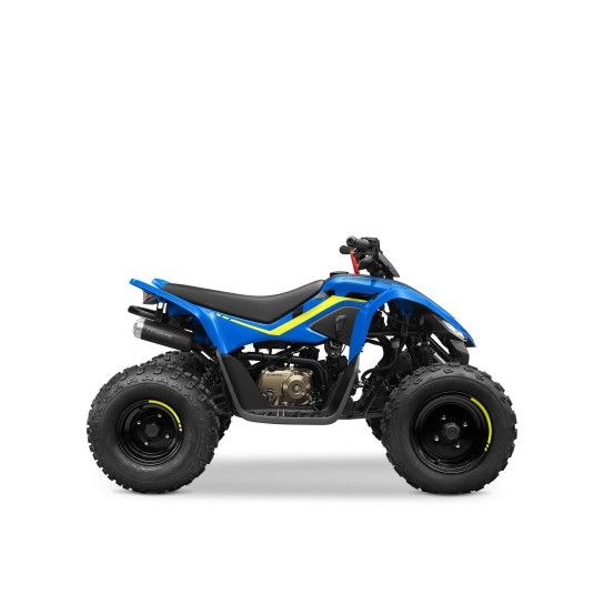 CFMOTO CFORCE 110 CFMOTO CFORCE 110