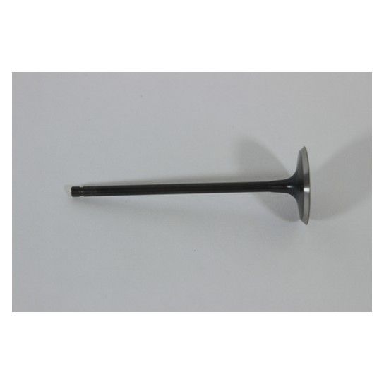 INTAKE VALVE