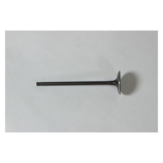 AIR EXHAUST VALVE