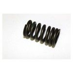 SPRING, VALVE SPRING, VALVE