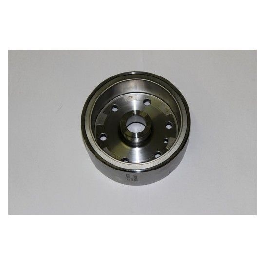 MAGNETO ROTOR