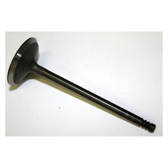 VALVE, INTAKE VALVE, INTAKE