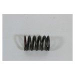 VALVE SPRING VALVE SPRING