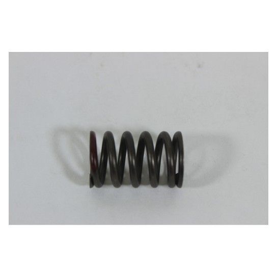 VALVE SPRING VALVE SPRING