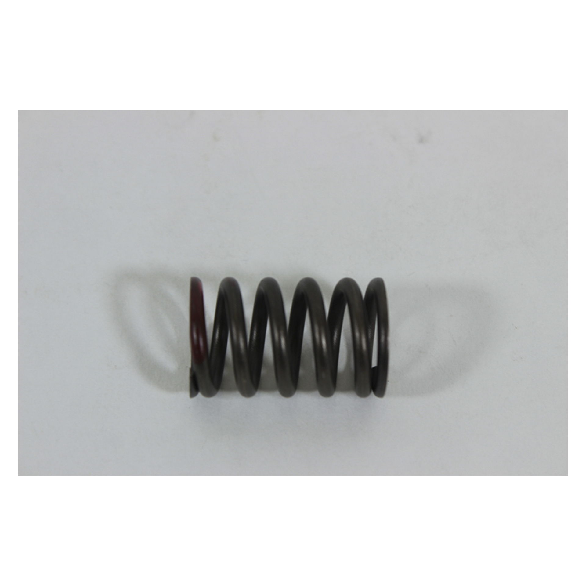 VALVE SPRING VALVE SPRING