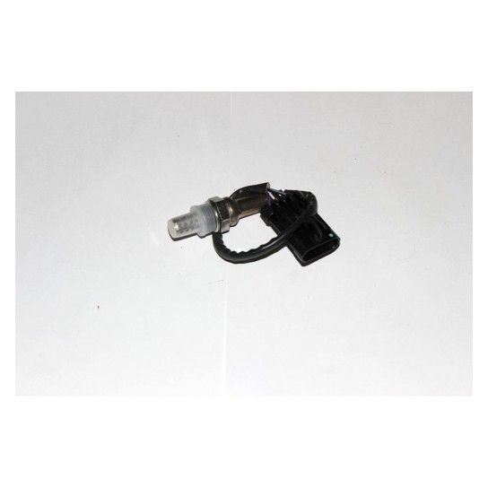 OXYGEN SENSOR OXYGEN SENSOR