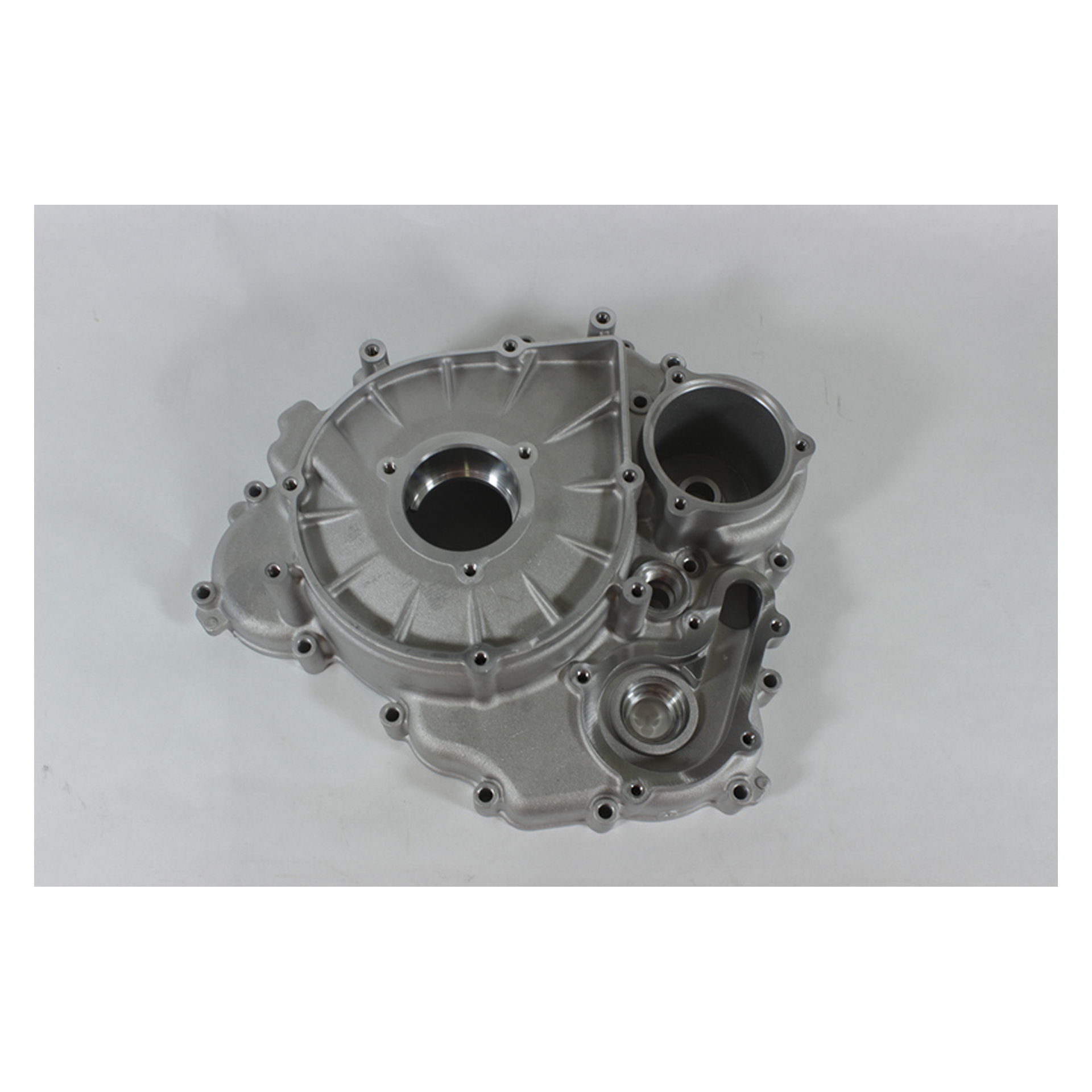 CRANKCASE COVER, LH CRANKCASE COVER, LH
