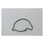 SEAL RING, WATER PUMP COVER SEAL RING, WATER PUMP COVER