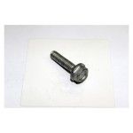 BOLT M6x25