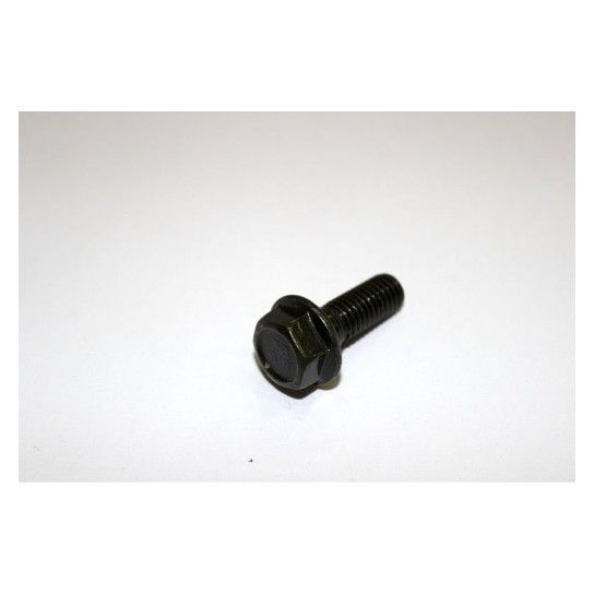 BOLT M8x22