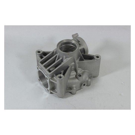 REAR GEAR CASE