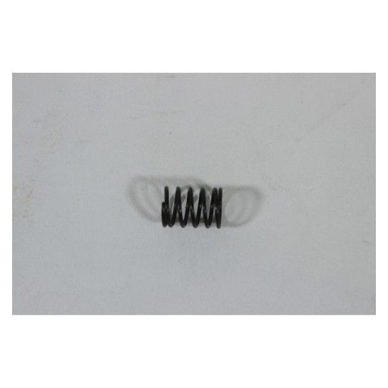 RETURN SPRING, VALVE