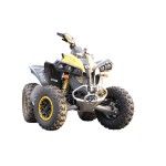 SUPORTE DE GUINCHO DIANTEIRO - CANAM G2 RENEGADE