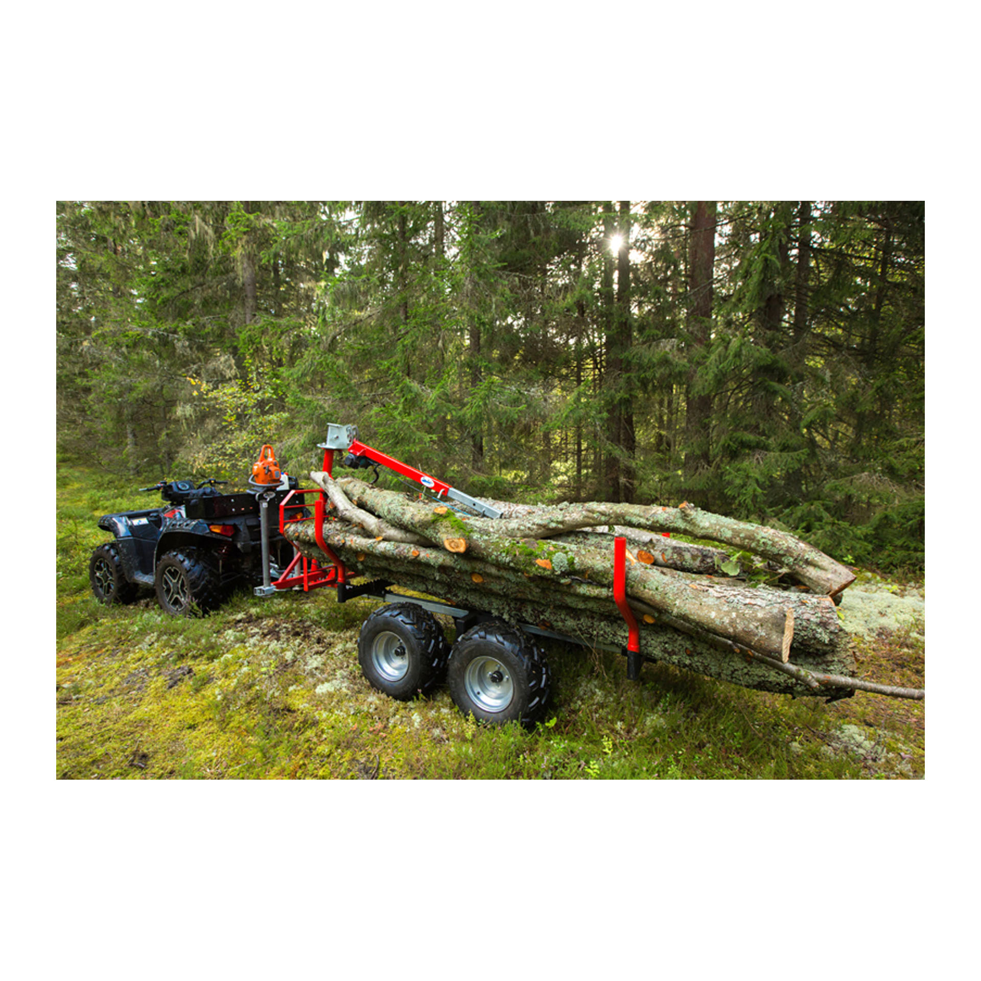 TIMBER TRAILER IB 1000