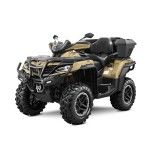 CFMOTO CFORCE 1000 OVERLAND