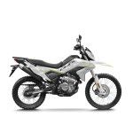 CFMOTO 250 DUAL CFMOTO 250 DUAL